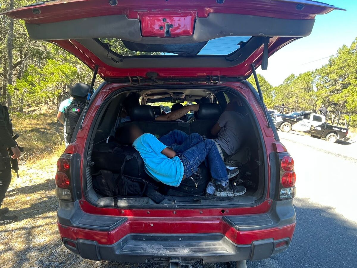 Fuerza Civil detecta 12 migrantes en Aramberri, Nuevo León. Foto: Especial