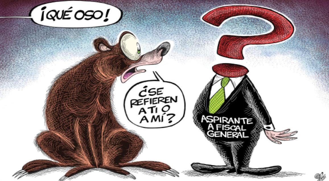 Los osos de NL
