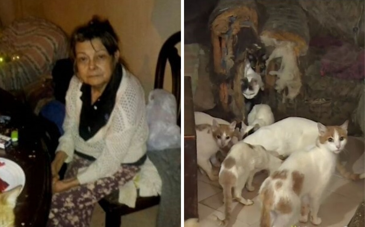Doña Marta vivía sólo con sus gatos, falleció hace una semana y nadie ha reclamado su cuerpo. | Caracol