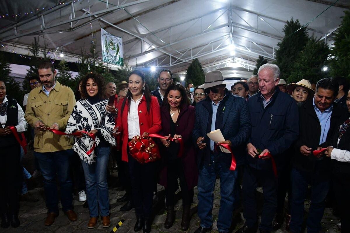 La entidad tiene una disponibilidad de 450 mil árboles.