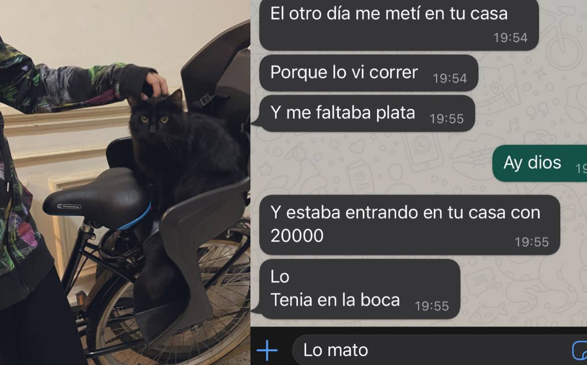 El michi robaba dinero de su vecino| Especial