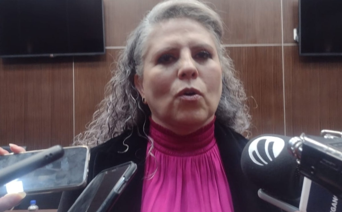 "Este es el resultado de la primera etapa y por el momento nada se pueden catalogar como irregularidades, pues siguen tres etapas más". (Claudia Hidal