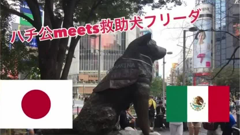 Homenajean a la perrita Frida en Japón