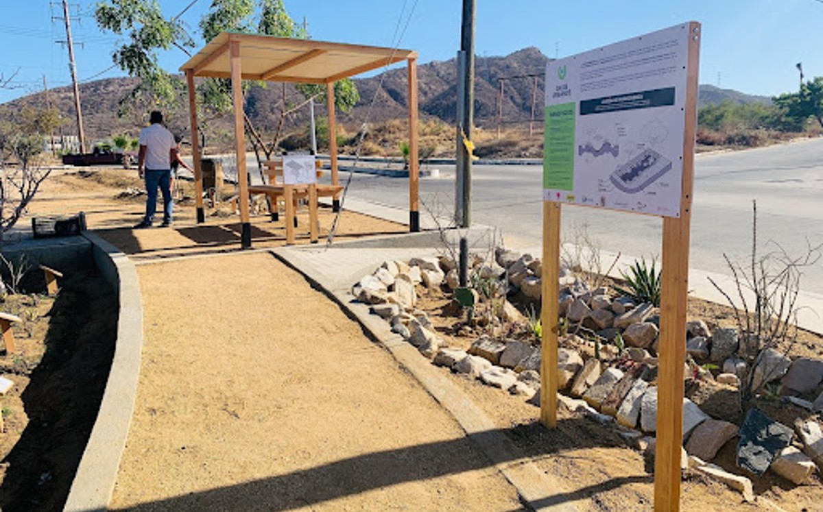 Oasis Urbano está compuesto por infraestructura verde con plantas nativas que captan agua de lluvia. | Especial