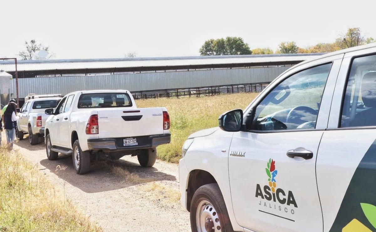 Agencia de Sanidad, Inocuidad y Calidad Agroalimentaria de Jalisco (Cortesía)