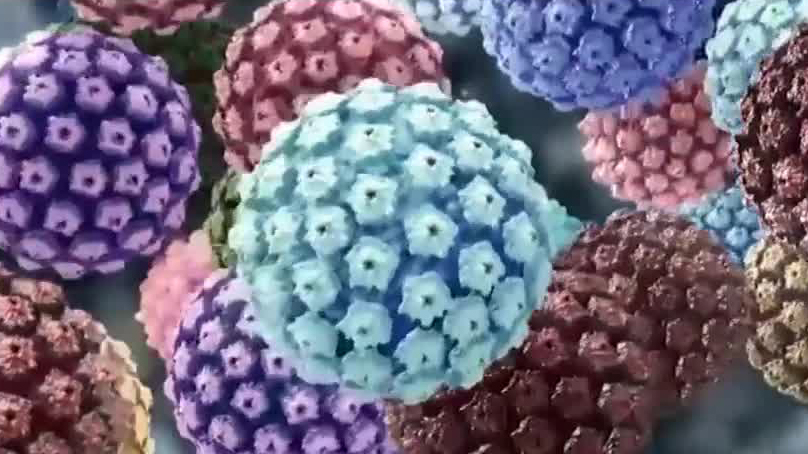 Continúa la lucha contra el virus del papiloma humano