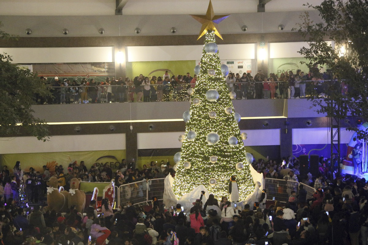 Pino navideño en Paseo Gómez Palacio. | Martin Piña
