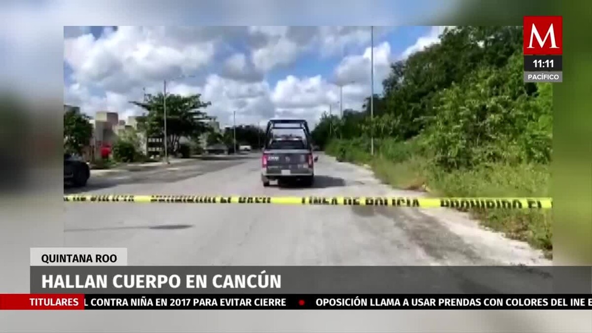 Hallan cuerpo en área verde en Cancún