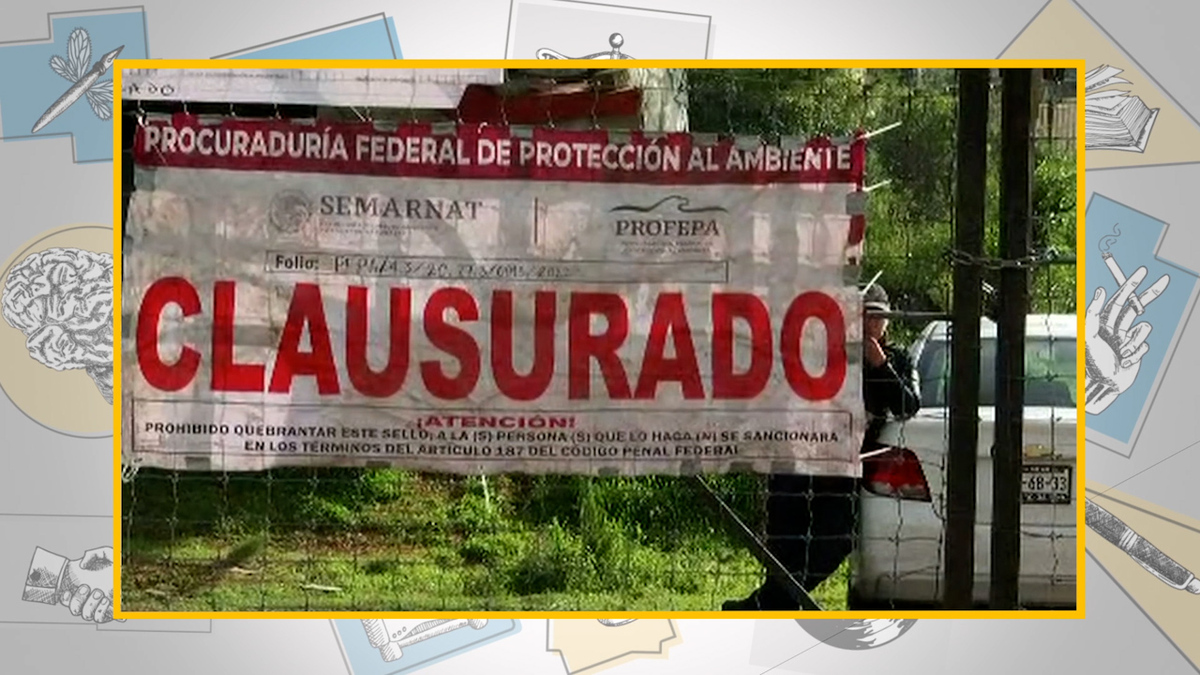 ¿Qué ha pasado con los animales del santuario silvestre de Ajusco?