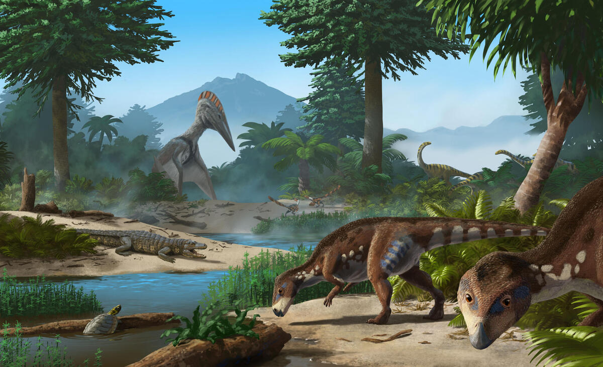 El dinosaurio habitó en Transilvania. (EFE)