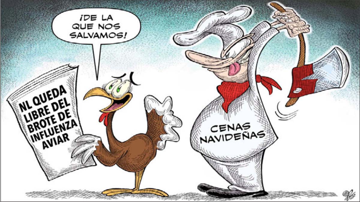 Influenza aviar