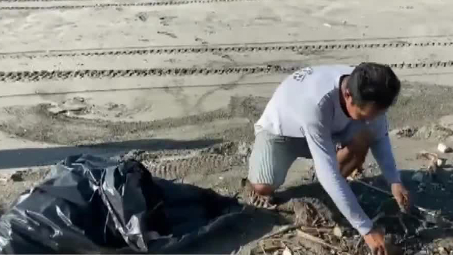 Conanp ha recolectado más de 30 toneladas de basura en Puerto Arista