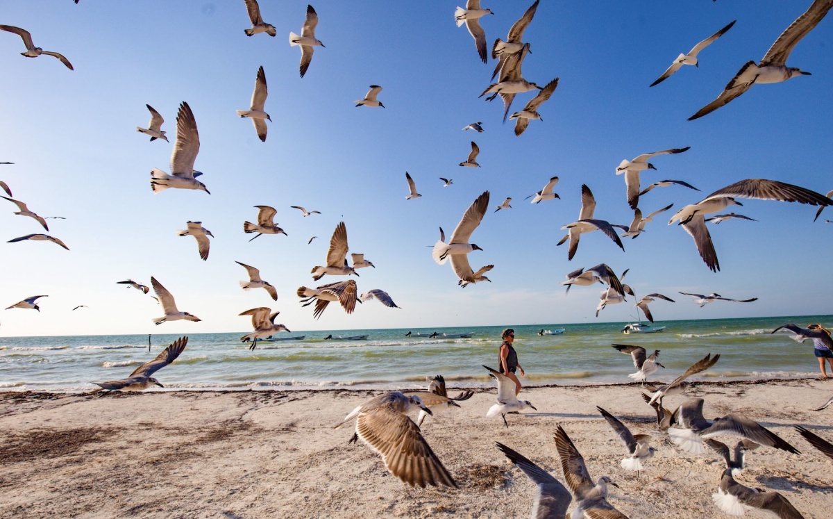 Holbox, Quintana Roo. Marzo de 2019. Foto: (Cuartoscuro)