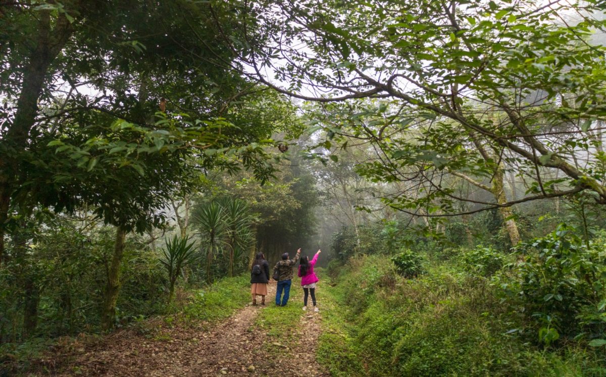 Xicotepec, joya de la naturaleza poblana | Andrés Lobato