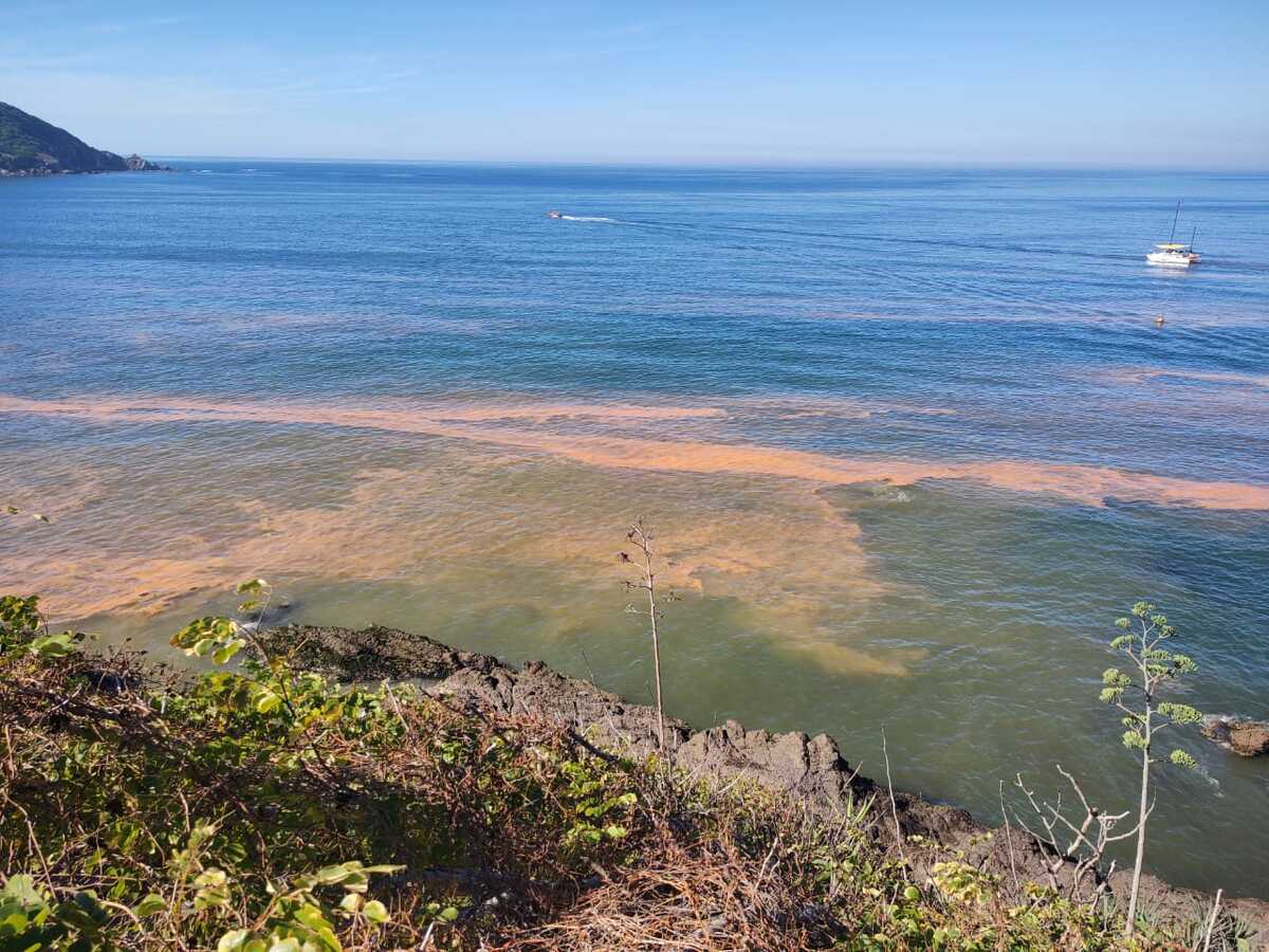 Piden a bañistas no entrar al mar. (Adriana Carlos)