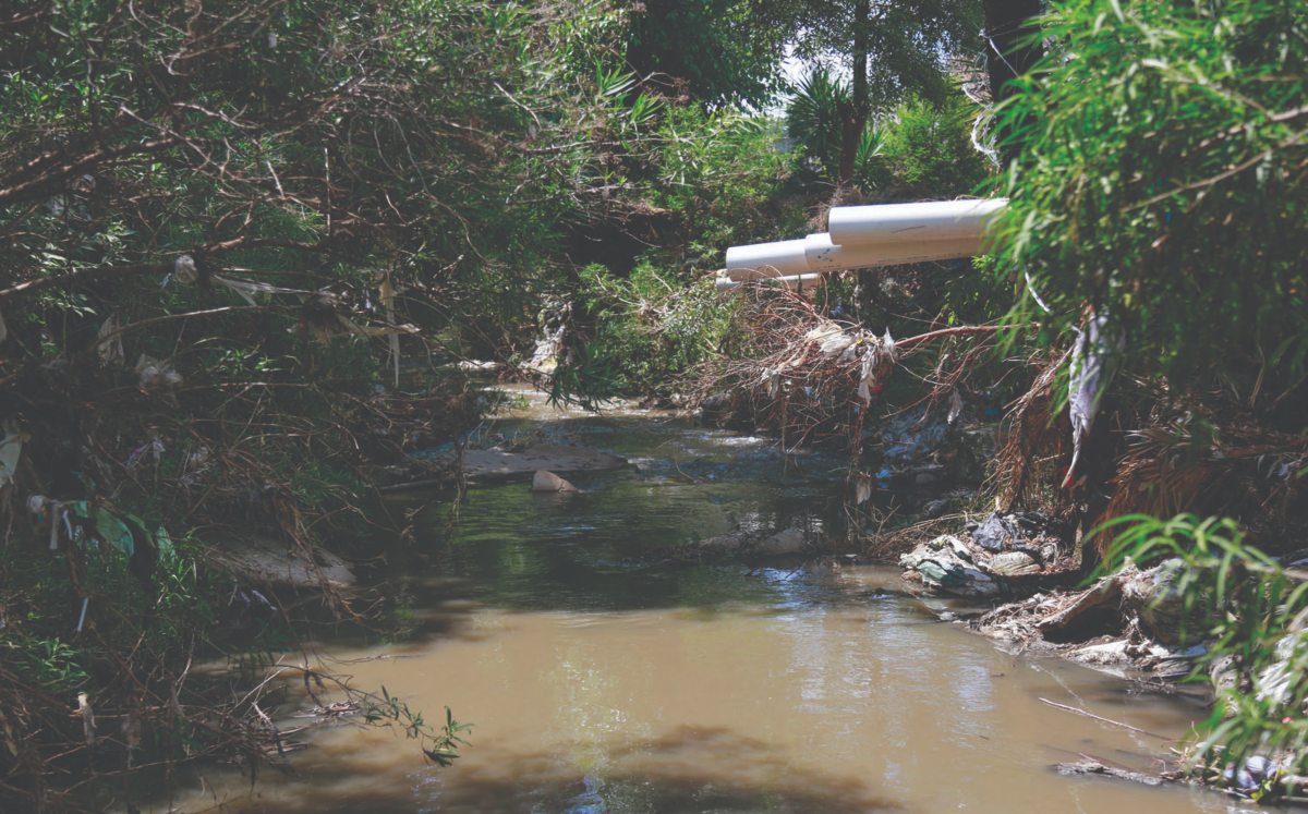 Aspectos de la contaminación en el río Atoyac | Andrés Lobato