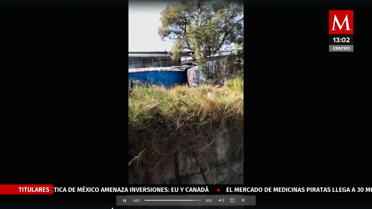 Reportan pantera suelta por Calzada México-Tacuba en CDMX