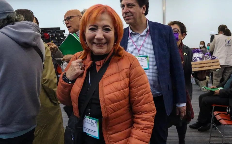 Rosario Piedra comparecerá ante el Pleno del Senado el próximo 7 de diciembre