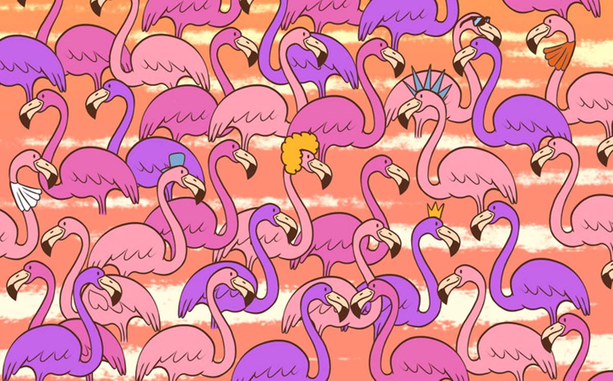 Encuentra el corazón entre los flamencos (Genial Gurú)