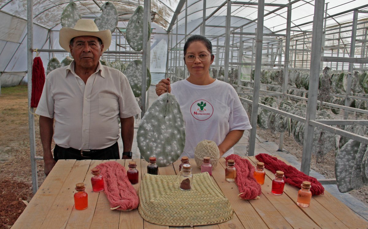 Nopalyecac, empresa artesanal poblana | Melanie Torres