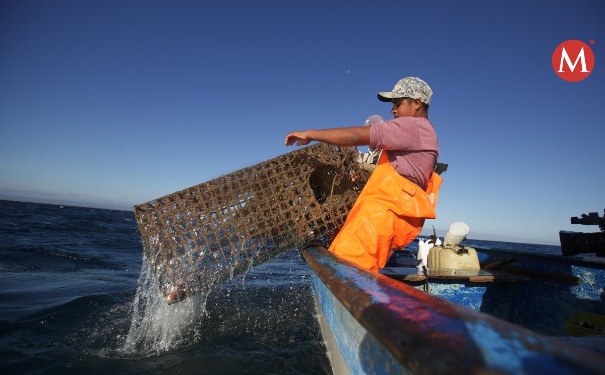 Pescadores obtienen su cartilla de mar ante Secretaría de Marina