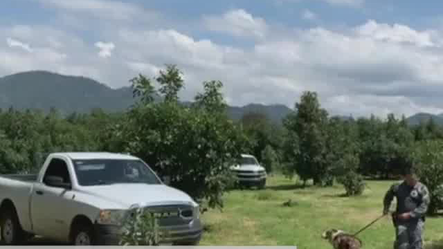 Hallan 5 cuerpos en una fosa clandestina en Michoacán