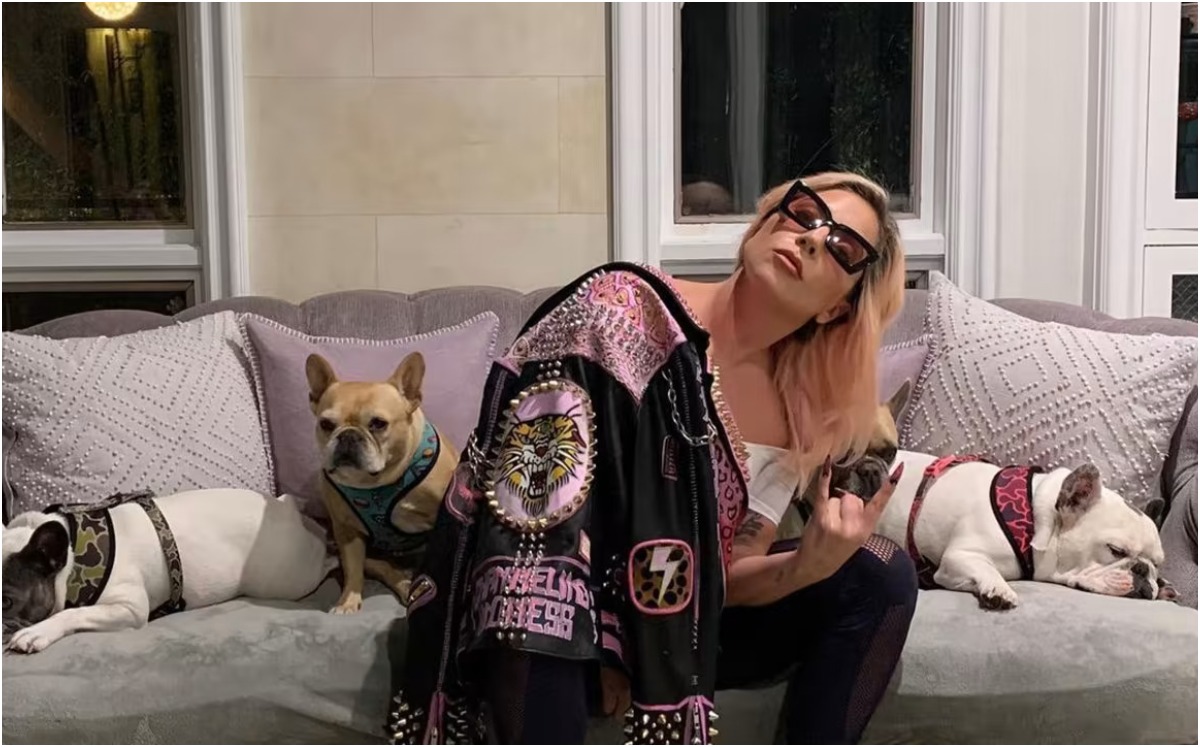 Pistolero que robó perros de Lady Gaga recibe pena de 21 años de cárcel | Twitter