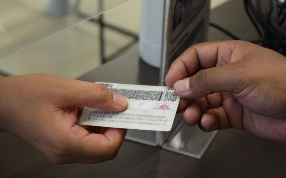 "La compactación del INE se traduce en despidos masivos", Nacif