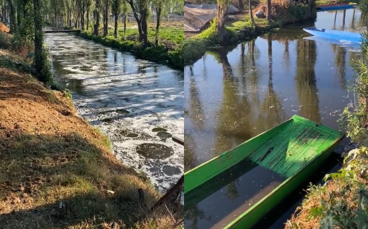 Canales de Tláhuac y Xochimilco "burbujean" tras sismo | Twitter @SoyTlaloc