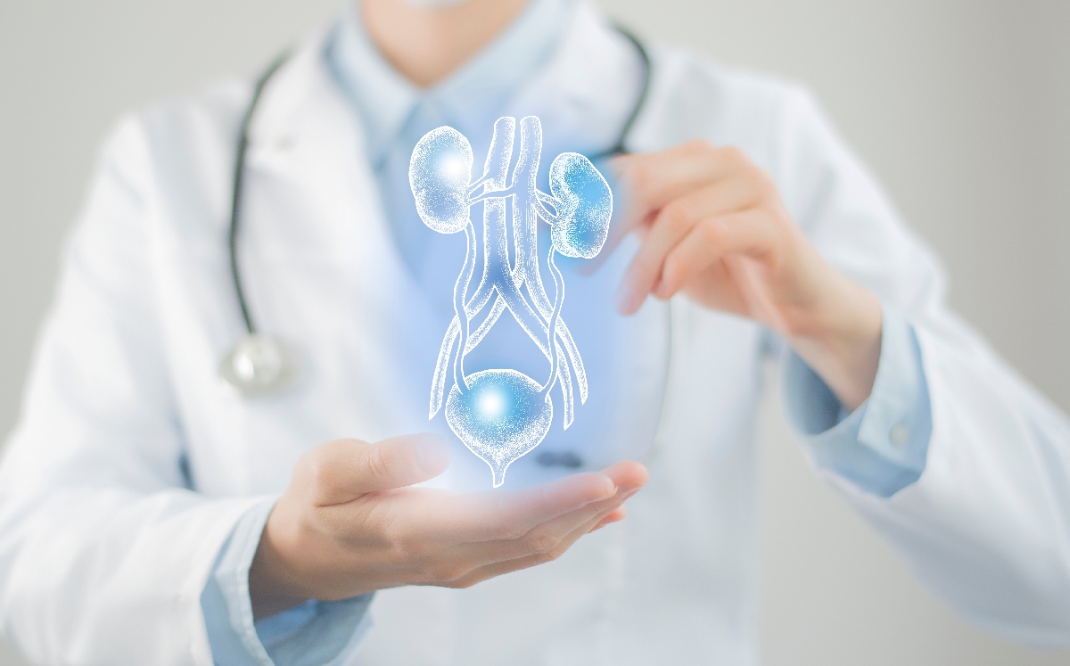 El cáncer de vejiga ocupa el noveno lugar en todo mundo en cuanto al número de diagnósticos oncológicos. | Shutterstock