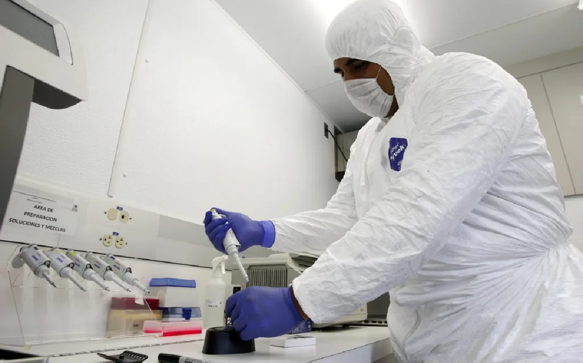 Descartan que la influenza genere un problema de desabasto en el sector avícola (EFE)