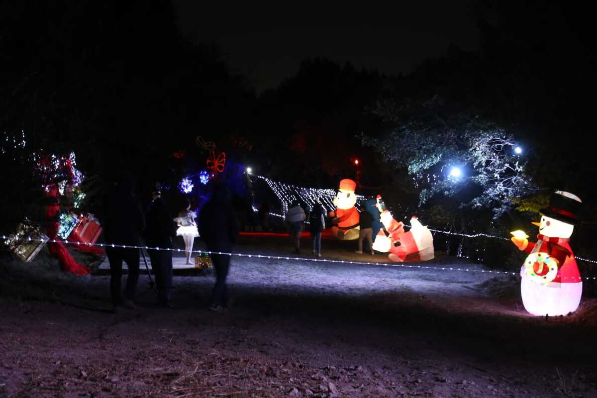 Bosque Mágico evento navideño  en la Estanzuela (Jorge Sánchez)