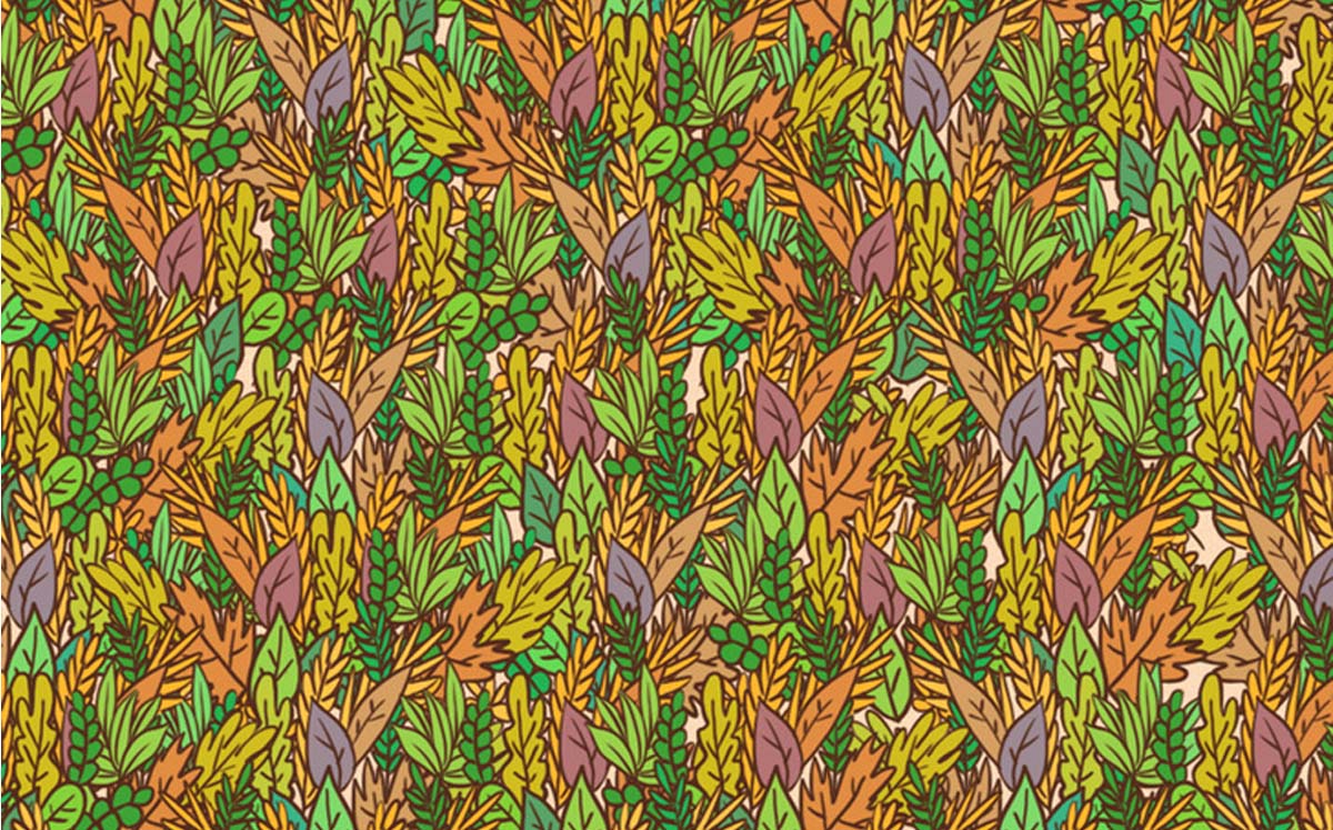 Encuentra al sapo que está entre las plantas (Genial Gurú)