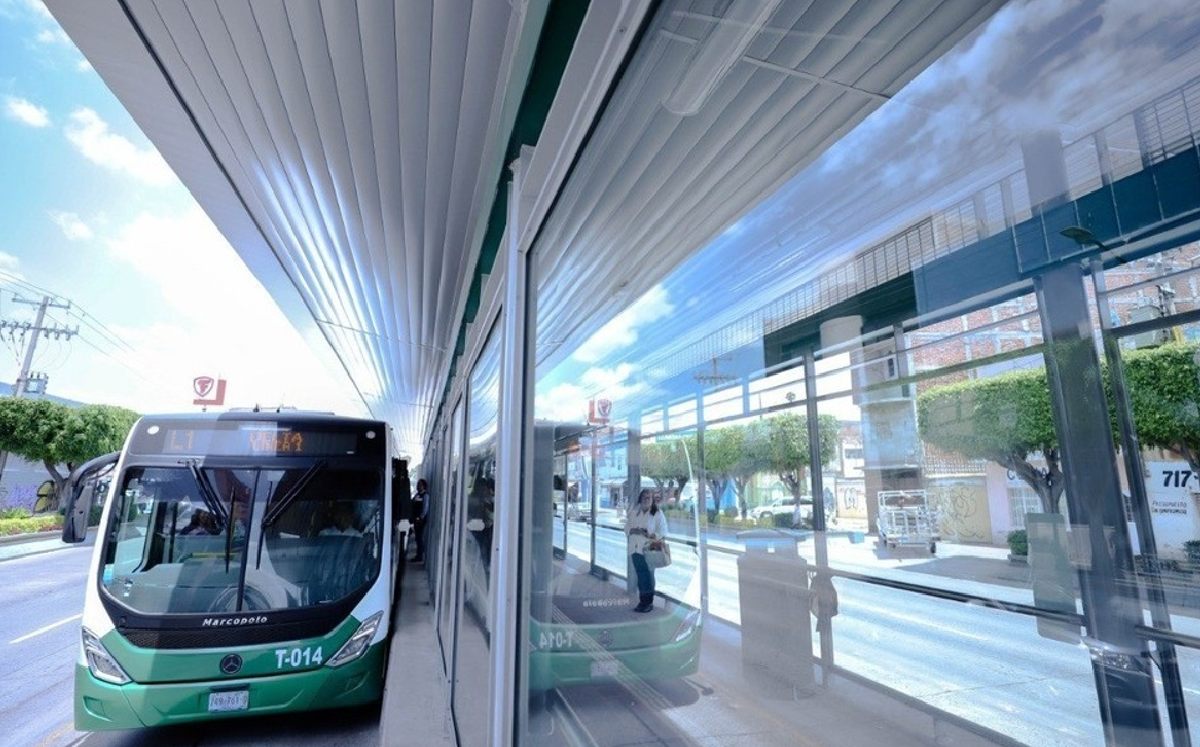 Oruga de León / Archivo