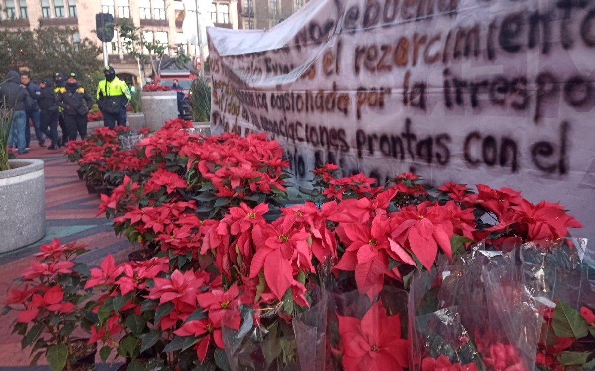 Los productores de flor de Nochebuena protestaron frente a las oficinas del gobierno de CdMx. | César Velázquez