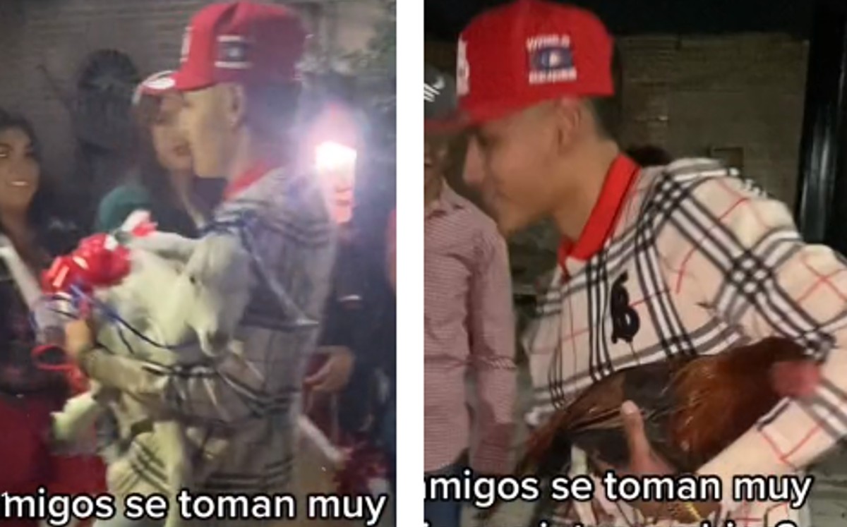TikTok. Joven regala cabra y recibe un gallo en intercambio navideño ...