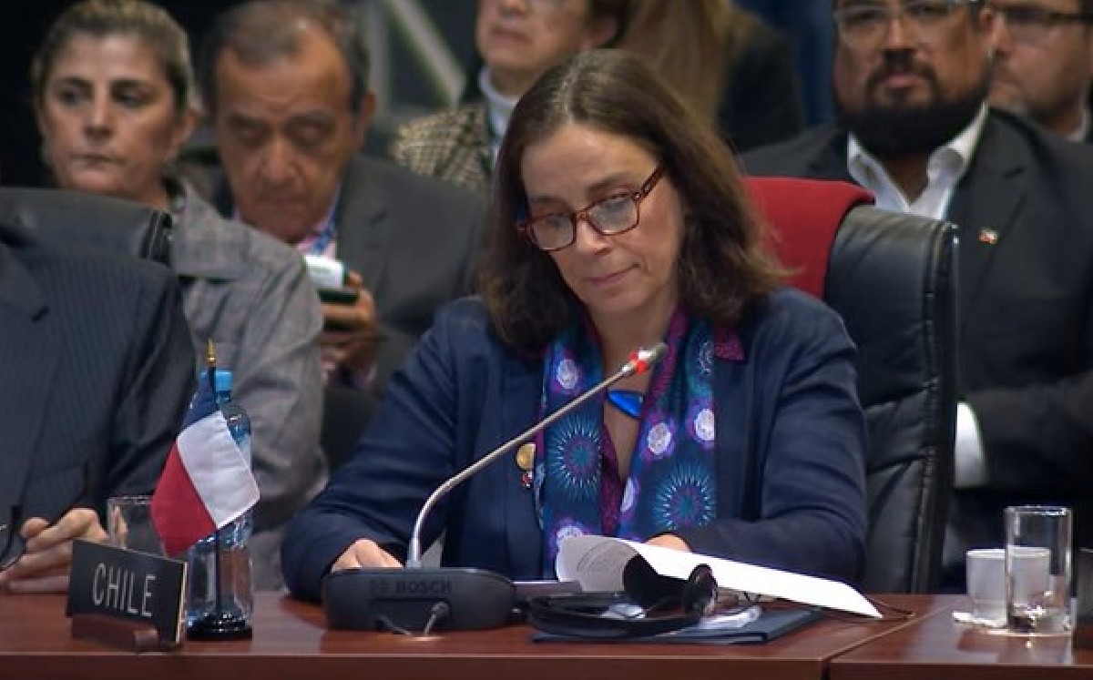 Antonia Urrejola comentó que Pedro Castillo  si incumplió "normas constitucionales" (AFP)