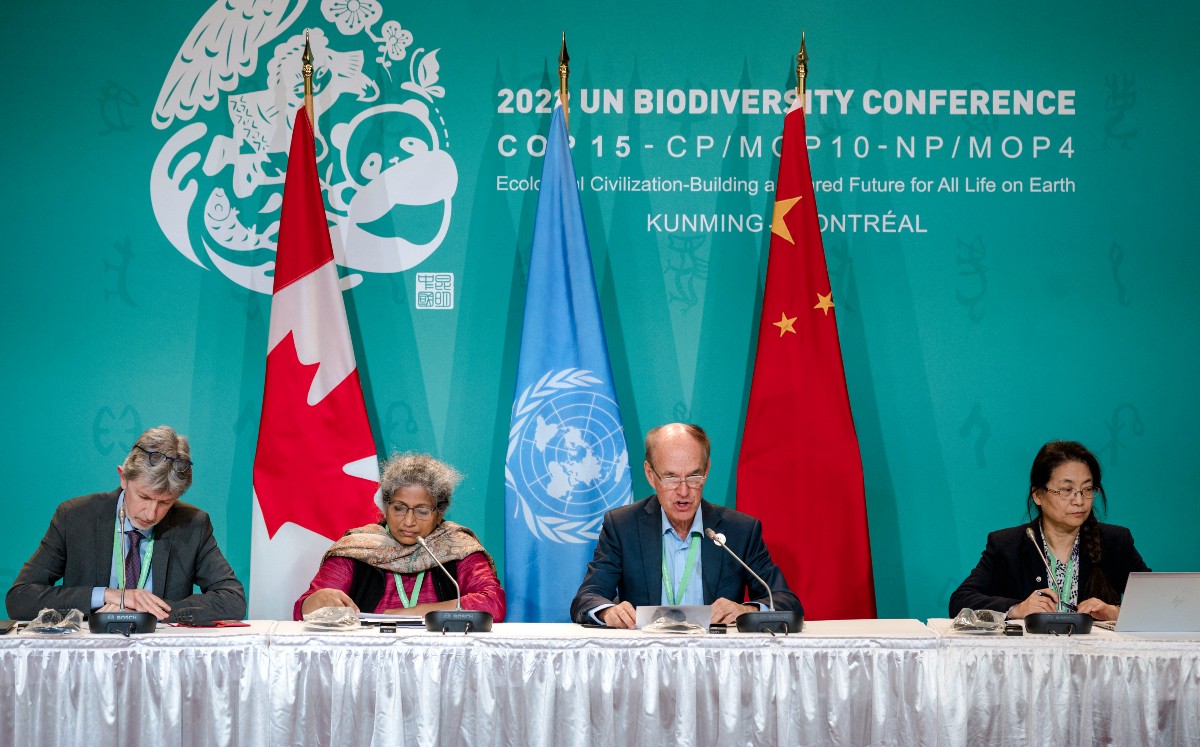 COP15, cerca de lograr un consenso para salvar la biodiversidad. | AFP