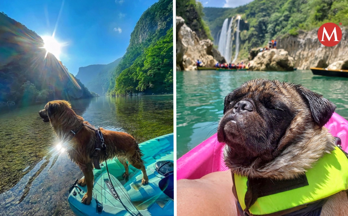 Lugares pet friendly en la huasteca potosina.