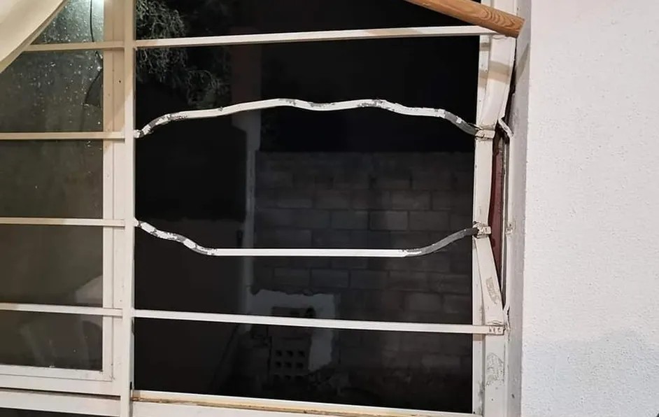 En San Luis Potosí, ladrones hieren a perros pitbull; los canes cuidaban la casa