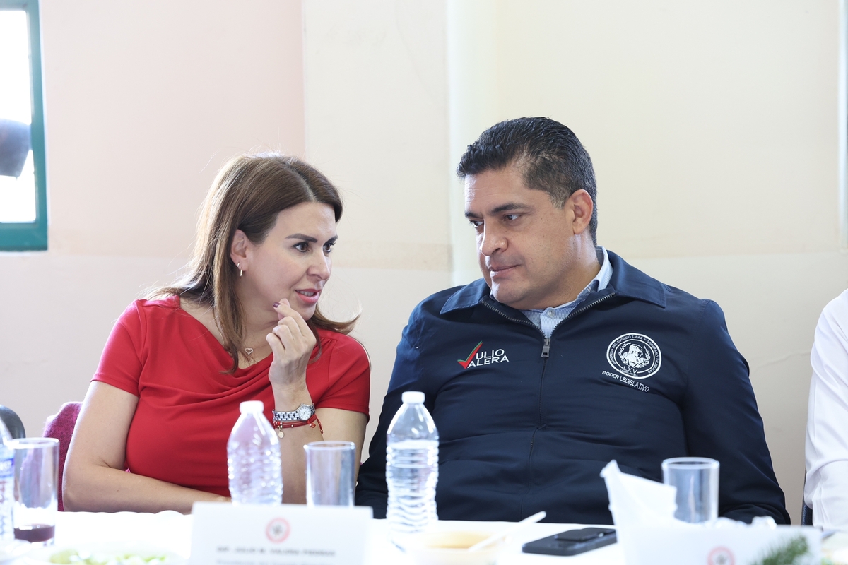 Carolina Viggiano Austria llamó al priismo hidalguense a la unidad y ofreció diálogo al interior del partido (Cortesía)