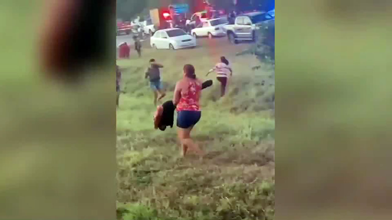 Pobladores hacen rapiña con ganado en Chiapas