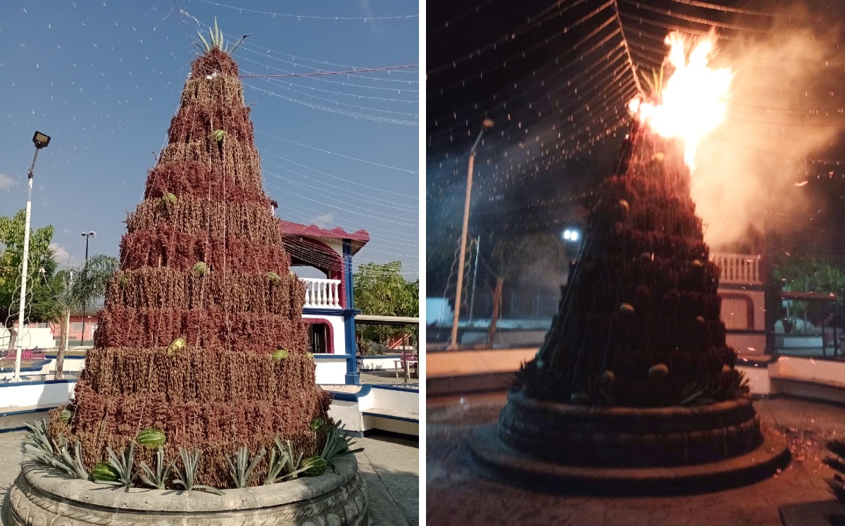 El árbol de Santiago Niltepec, Oaxaca, quedó reducido a cenizas tras el incendio. | Especial