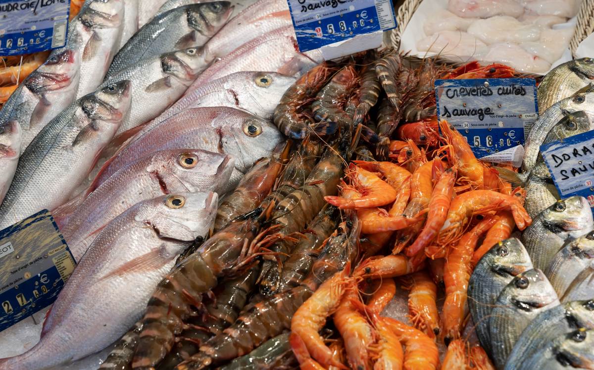 En CdMx en temporada navideña una de cada tres pescaderías venden tiburón o tilapia por bacalao | Freepick