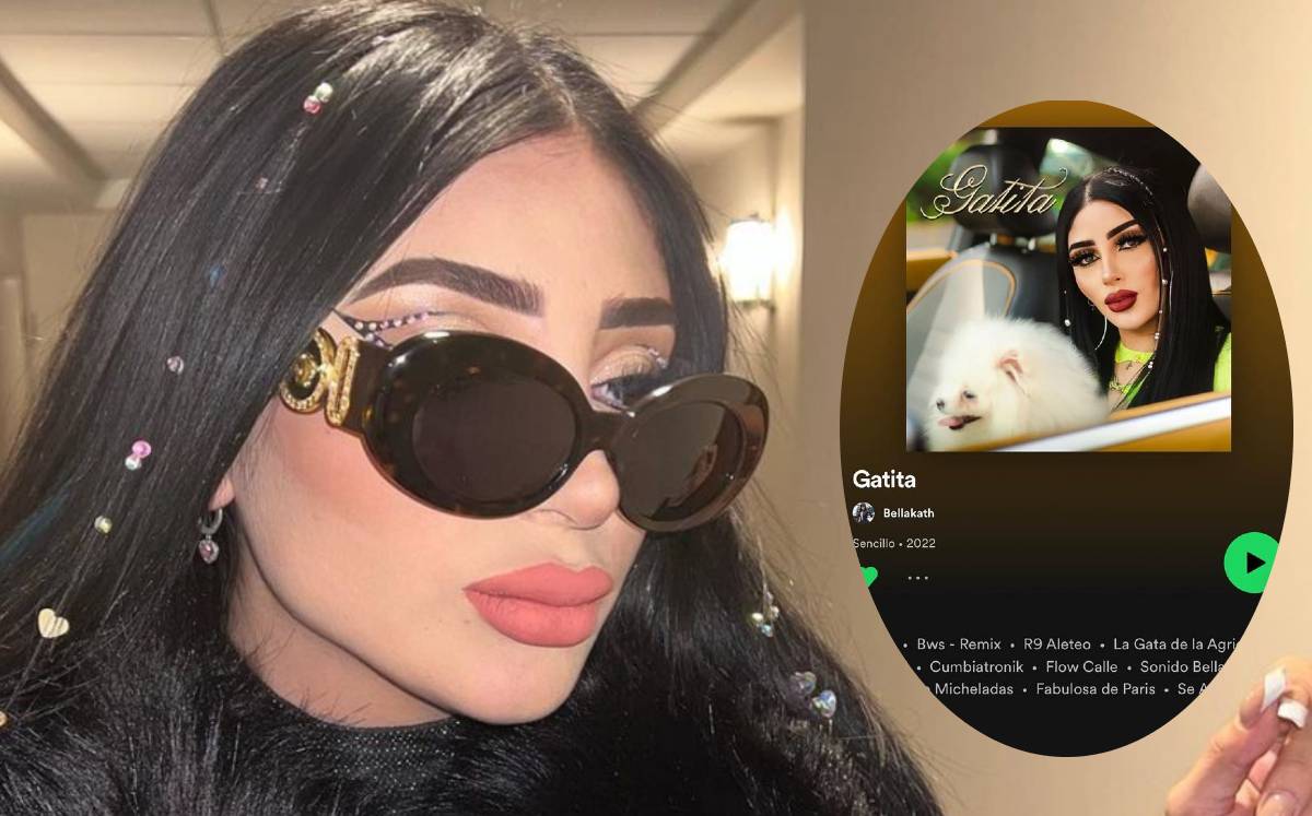 Gatita regresa a Spotify (Especial).