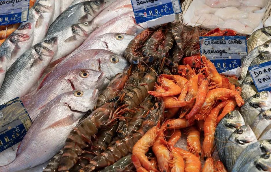 Al menos 2 de cada 3 pescaderías engañan con tiburón o tilapia por bacalao: Oceana