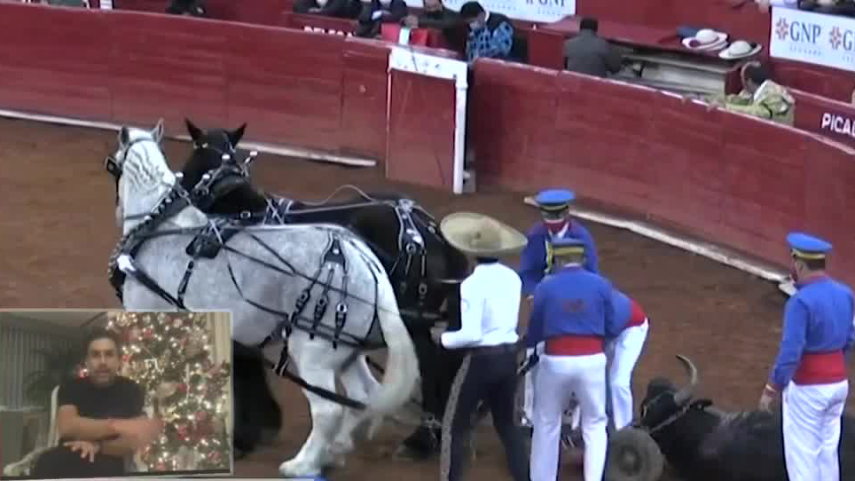 Diputados no se atreven a votar contra las corridas de toros, afirma Jesús Sesma diputado del PVEM