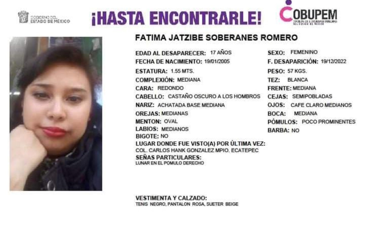 La joven desapareció en el municipio de Ecatepec. | Especial