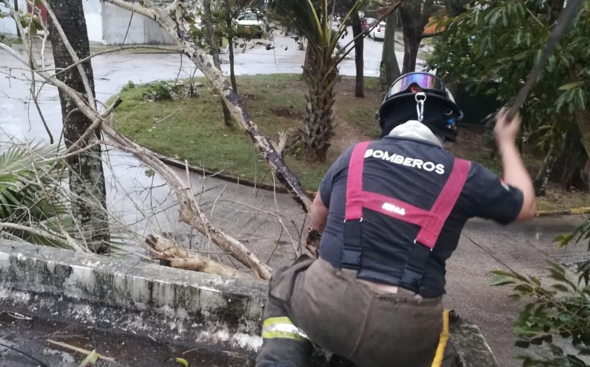 Se reporta 11 arboles caídos, tres postes colapsados, cinco viviendas con techos desprendidos, entre otras cosas