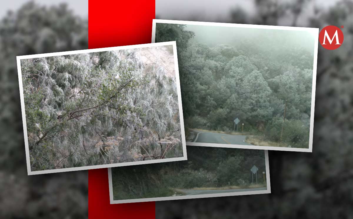 Así se ve el aguanieve en el municipio de Iturbide. Foto: Especial